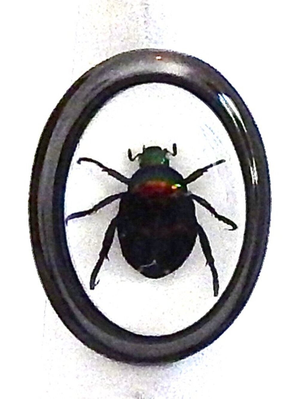 GASOLINE GLAMOUR FORTUNE BEETLE MINI RING🪲🪲🪲